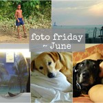 foto friday june foto friday june