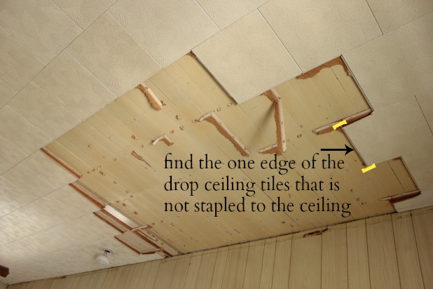 how to remove ceiling tiles