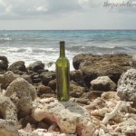message in a bottle message in a bottle