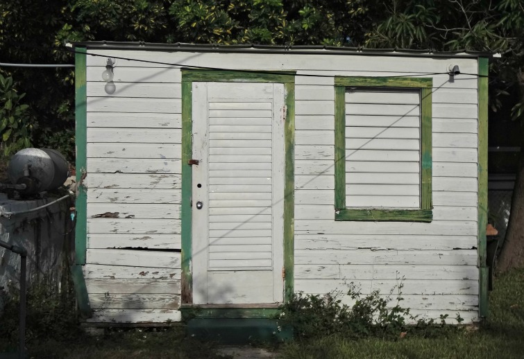 to rent or to buy to rent or to buy