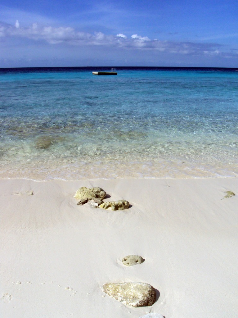 cas-abou-beach-curacao