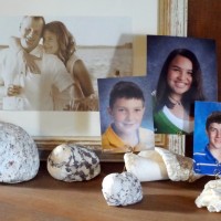 coral and seashells {picture holder / name card}