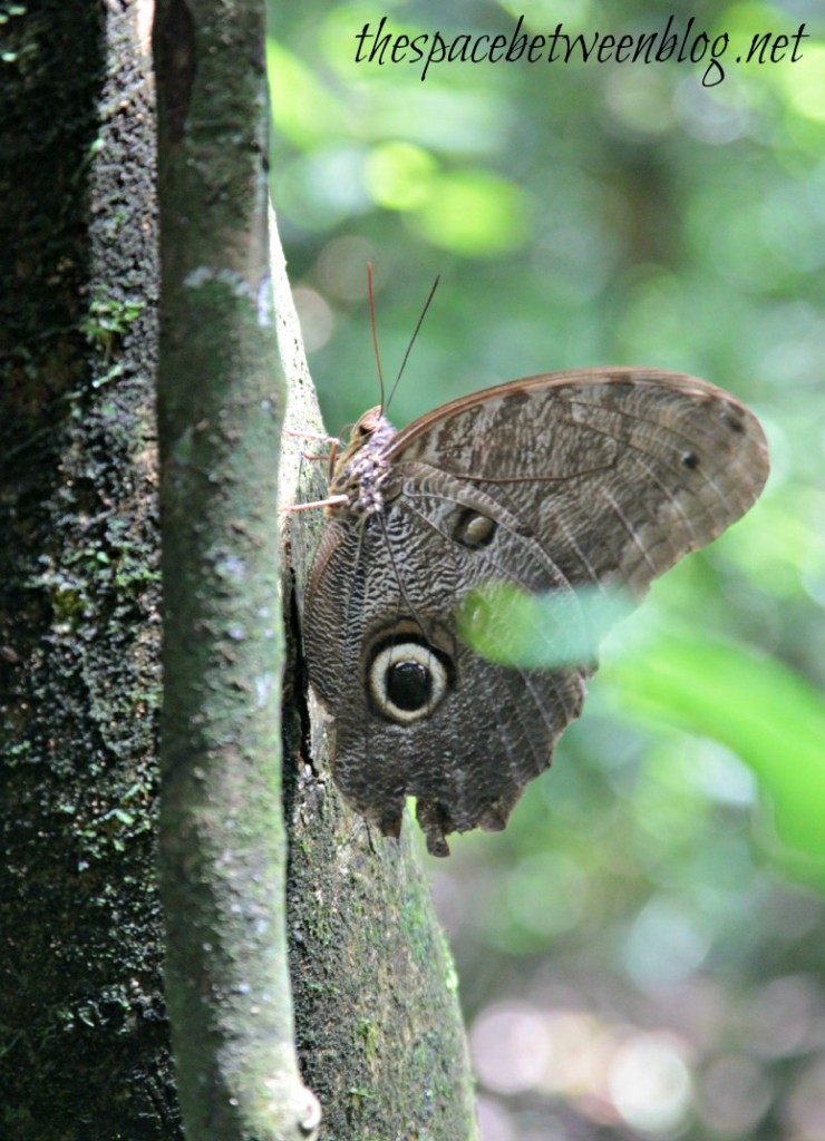 costa rica