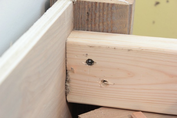 diy wood frame bed stripped screw