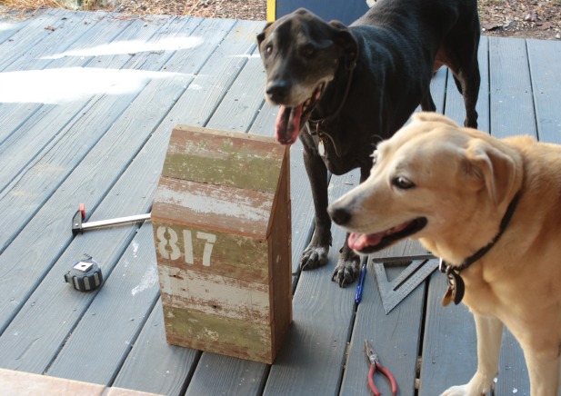 diy wooden mailbox assembly