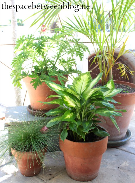 creating curb appeal with some front porch decorating