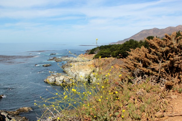 garrapata state park