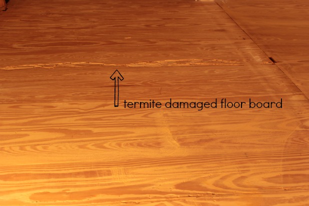 hardwood floor restoration - termite damage repair