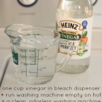 how to clean your washing machine with one ingredient