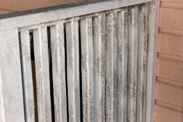 Got Mold? Get MoldSTAT Barrier ! One Easy Step Mold Removal