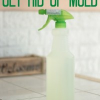 how to get rid of mold