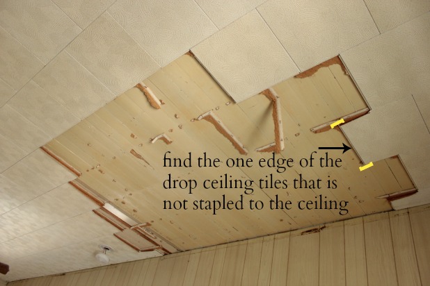 How To Remove A Drop Ceiling Drop It Like It S Hot The Space