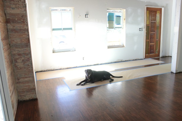 hardwood floor sanding and staining tips