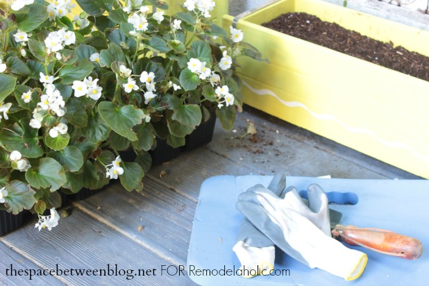 spring planters