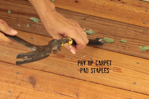 remove carpet pad staples with a pry bar