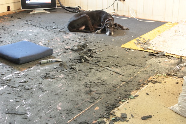 How to Remove Deteriorated Rug's Latex Backing Stuck on Hardwood