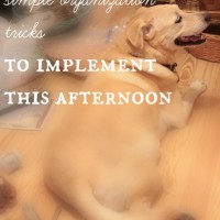 3 easy tips to simple organization you can implement this afternoon!