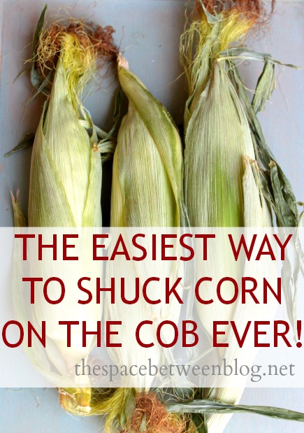 Day 27 The Easiest Way To Shuck Corn Ever The Space Between   The Easiest Way To Shuck Corn Ever 