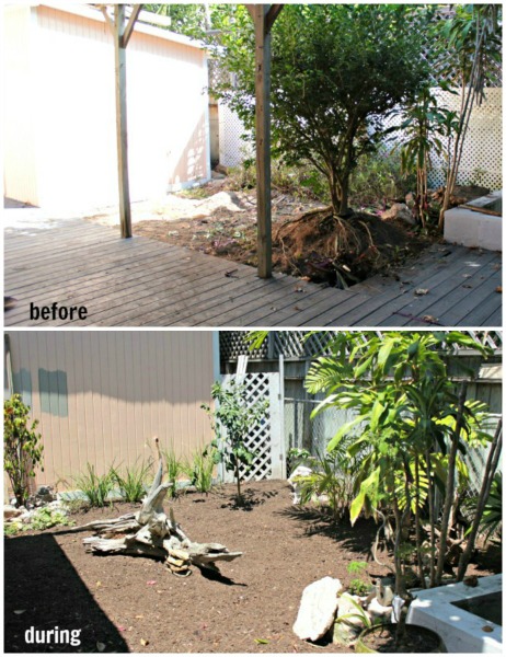 yardscape ideas for your small garden