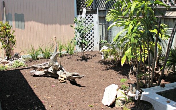 yardscape ideas for your small garden