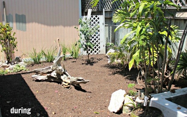 yardscape ideas for your small garden